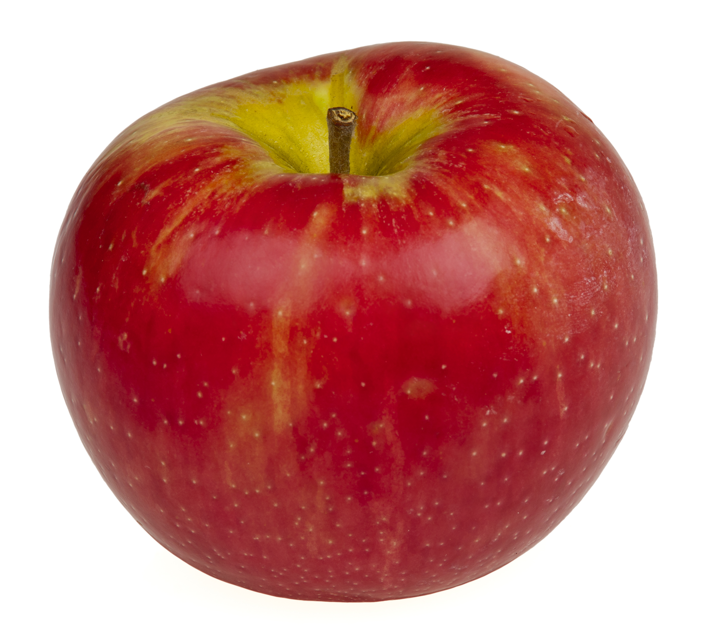 Honeycrisp — det krispiga äpplet från Minnesota